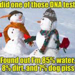 Sometimes you’d rather not no your ancestry  | I did one of those DNA tests; Found out I’m 85% water, 8% dirt, and 7% dog piss | image tagged in snowmen,memes,dog,pee,dna | made w/ Imgflip meme maker