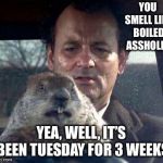 Groundhog Day | YOU SMELL LIKE BOILED ASSHOLES; YEA, WELL, IT’S BEEN TUESDAY FOR 3 WEEKS | image tagged in groundhog day | made w/ Imgflip meme maker
