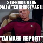 Captain Picard | STEPPING ON THE SCALE AFTER CHRISTMAS LIKE; "DAMAGE REPORT"; mylifebygogogoff.com | image tagged in captain picard | made w/ Imgflip meme maker