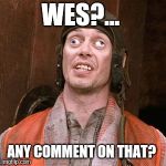 Buscemi cross eye | WES?... ANY COMMENT ON THAT? | image tagged in buscemi cross eye | made w/ Imgflip meme maker