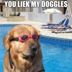 doggo | YOU LIEK MY DOGGLES | image tagged in doggo | made w/ Imgflip meme maker