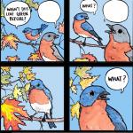 bird what meme