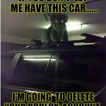 Creepy koala  | IF YOU DON'T  LET ME HAVE THIS CAR...... I'M GOING  TO DELETE YOUR ROBLOX 
ACCOUNT | image tagged in creepy koala,koala,roblox,animals,funny memes | made w/ Imgflip meme maker