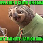zootopia sloth | I FEEL LIKE A SLOTH ON XANAX; WAIT A MINUTE. I AM ON XANAX | image tagged in zootopia sloth | made w/ Imgflip meme maker