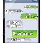 Admitting gone wrong | Can I be honest; Of course babe; I have something to admit; There’s no I, it’s we; Ok, we are gay; Wait what | image tagged in texting,admit,confusion | made w/ Imgflip meme maker