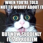 Surprised Cat | WHEN YOU'RE TOLD NOT TO WORRY ABOUT IT; BUT NOW SUDDENLY IT'S A PROBLEM | image tagged in surprised cat | made w/ Imgflip meme maker
