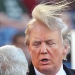 Trump comb over hair
