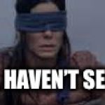 When someone asks me about Bird Box.  | NOPE, HAVEN’T SEEN IT. | image tagged in bird box,birdbox,blind,memes | made w/ Imgflip meme maker
