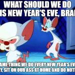 Pinky & Brain | WHAT SHOULD WE DO THIS NEW YEAR'S EVE, BRAIN? SAME THING WE DO EVERY NEW YEAR'S EVE, PINKY, SIT ON OUR ASS AT HOME AND DO NOTHING. | image tagged in pinky  brain | made w/ Imgflip meme maker