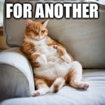 Lazy cat | ALL READY FOR ANOTHER; WILD NEW YEARS EVE | image tagged in lazy cat | made w/ Imgflip meme maker