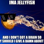 JELLYFISH!!!!!!!!!!!!!!!!!!!!!!!!! | IMA JELLYFISH; AND I DON'T GOT A BRAIN SO WHY SHOULD I GIVE A DAMN ABOUT YOU | image tagged in jellyfish | made w/ Imgflip meme maker