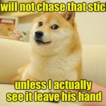 Doge’s New Years Resolution | I will not chase that stick; unless I actually see it leave his hand | image tagged in memes,doge 2,new year resolutions,happy new year | made w/ Imgflip meme maker