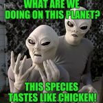 Homo sapiens: Dumb as cows, taste like chicken! | WHAT ARE WE DOING ON THIS PLANET? THIS SPECIES TASTES LIKE CHICKEN! | image tagged in frustrated aliens,memes,extraterrestrial,it's what's for dinner,grey aliens,grocery store | made w/ Imgflip meme maker