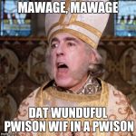 princess bride priest | MAWAGE, MAWAGE; DAT WUNDUFUL PWISON WIF IN A PWISON | image tagged in princess bride priest | made w/ Imgflip meme maker