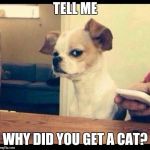 Mad dog | TELL ME; WHY DID YOU GET A CAT? | image tagged in mad dog | made w/ Imgflip meme maker