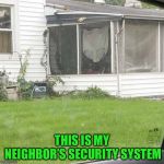 Granny panties | THIS IS MY NEIGHBOR’S SECURITY SYSTEM | image tagged in granny panties | made w/ Imgflip meme maker