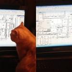 calculations cat