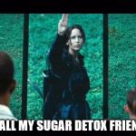 katniss everdeen salute | TO ALL MY SUGAR DETOX FRIENDS | image tagged in katniss everdeen salute | made w/ Imgflip meme maker