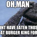 Godzilla worrying about eating triple whoppers for breakfast. | OH,MAN; I SHOULDNT HAVE EATEN THOSE TRIPLE WHOPPERS AT BURGER KING FOR BREAKFAST | image tagged in godzilla facepalm | made w/ Imgflip meme maker
