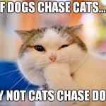 This cat may have evil plans | IF DOGS CHASE CATS..... WHY NOT CATS CHASE DOGS? | image tagged in thinking cat,cats,naughty cat,dogs | made w/ Imgflip meme maker