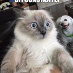 Mindblown Cat | WHEN "OFFCONSTANTLY"; IS ONLINE | image tagged in mindblown cat | made w/ Imgflip meme maker