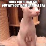bald puss | WHEN YOU'RE DATE SEE YOU WITHOUT MAKEUP AND A BRA | image tagged in bald puss,funny,funny memes | made w/ Imgflip meme maker
