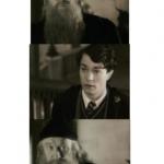 Dumbledore and Tom Riddle meme