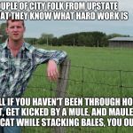 Letterkenny Problems | A COUPLE OF CITY FOLK FROM UPSTATE SAY THAT THEY KNOW WHAT HARD WORK IS; WELL IF YOU HAVEN'T BEEN THROUGH HORSE SHIT, GET KICKED BY A MULE, AND MAULED BY YOUR BARN CAT WHILE STACKING BALES, YOU OUGHTA KNOW | image tagged in letterkenny problems | made w/ Imgflip meme maker