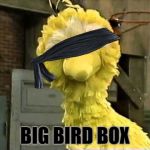 Now that's too much! | BIG BIRD BOX | image tagged in big bird,funny,joke,bird box,netflix | made w/ Imgflip meme maker