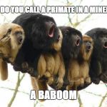 Baboon Chorus | WHAT DO YOU CALL A PRIMATE IN A MINEFIELD? A BABOOM | image tagged in baboon chorus | made w/ Imgflip meme maker