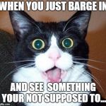 Surprised cat lol | WHEN YOU JUST BARGE IN; AND SEE  SOMETHING YOUR NOT SUPPOSED TO... | image tagged in surprised cat lol | made w/ Imgflip meme maker