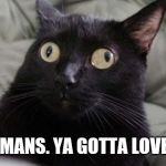 Confused Cat | HOOMANS. YA GOTTA LOVE EM. | image tagged in confused cat | made w/ Imgflip meme maker