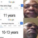 How old is... | How old is Doge; 11 years; How long do dogs live; 10-13 years | image tagged in how old is | made w/ Imgflip meme maker