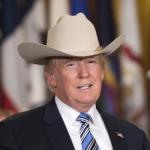 Cowboy Trump meme