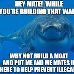 Smiling Shark | HEY MATE!  WHILE YOU'RE BUILDING THAT WALL, WHY NOT BUILD A MOAT AND PUT ME AND ME MATES IN THERE TO HELP PREVENT ILLEGALS? | image tagged in smiling shark | made w/ Imgflip meme maker