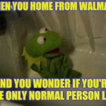 Kermit | WHEN YOU HOME FROM WALMART; AND YOU WONDER IF YOU'RE THE ONLY NORMAL PERSON LEFT | image tagged in kermit shower,people of walmart | made w/ Imgflip meme maker