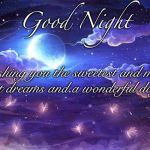 Good Night | Good Night; Wishing you the sweetest and most pleasant dreams and a wonderful day ahead | image tagged in good night,sweet dreams,good,night,sweet,dreams | made w/ Imgflip meme maker