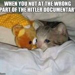 crying kitten | WHEN YOU NUT AT THE WRONG PART OF THE HITLER DOCUMENTARY | image tagged in crying kitten | made w/ Imgflip meme maker