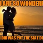 Inspired by Kewlew and a few others. You know who you are | YOU ARE SO WONDERFUL! ALL I DID WAS PUT THE SEAT DOWN | image tagged in couple,toilet humor | made w/ Imgflip meme maker