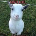 Good vibes goat  | GOOD VIBES TASTE LIKE... ...GOOD VIBES | image tagged in good vibes goat | made w/ Imgflip meme maker