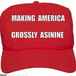 MAGA | MAKING  AMERICA; GROSSLY  ASININE | image tagged in red hat | made w/ Imgflip meme maker