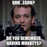 Ghostbusters  | UHH...EGON? DO YOU REMEMBER HAVING MONKEYS? | image tagged in ghostbusters | made w/ Imgflip meme maker