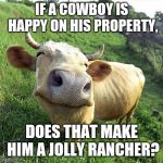 Cow | IF A COWBOY IS HAPPY ON HIS PROPERTY, DOES THAT MAKE HIM A JOLLY RANCHER? | image tagged in cow | made w/ Imgflip meme maker