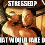 Jake the Muss | STRESSED? WHAT WOULD JAKE DO? | image tagged in jake the muss | made w/ Imgflip meme maker