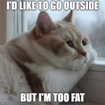 Solemn Chonk | I'D LIKE TO GO OUTSIDE; BUT I'M TOO FAT | image tagged in solemn chonk | made w/ Imgflip meme maker
