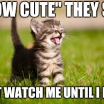 cute cat | "HOW CUTE" THEY SAY; JUST WATCH ME UNTIL I FART | image tagged in cute cat,farts,farting,cats,kittens,cute | made w/ Imgflip meme maker