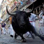 Running of the bulls