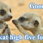 gossip meerkats | Good job! Meerkat high five for you! | image tagged in gossip meerkats | made w/ Imgflip meme maker