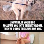 Dogs will always have your back. | IF YOUR DOG LOOKS AT YOU WHILE POOPING. IT'S BECAUSE THEY TRUST YOU TO WATCH OUT FOR THEM WHILE IN A VULNERABLE POSITION LIKEWISE, IF YOUR D | image tagged in blank black,dog pooping | made w/ Imgflip meme maker