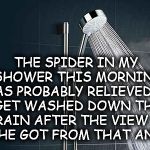 Shower | THE SPIDER IN MY SHOWER THIS MORNING WAS PROBABLY RELIEVED TO GET WASHED DOWN THE DRAIN AFTER THE VIEW OF ME HE GOT FROM THAT ANGLE! | image tagged in shower | made w/ Imgflip meme maker